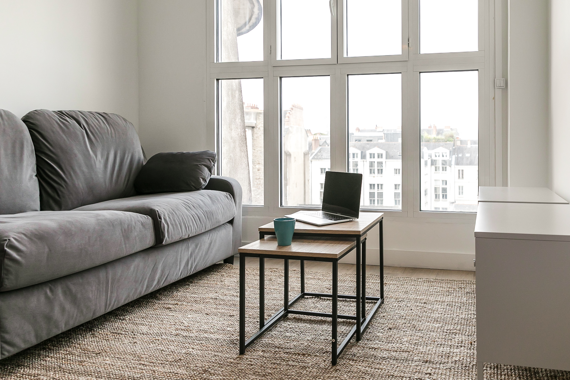 investissement-locatif-nantes-emmanuel-salon-6 investissement-locatif-nantes-emmanuel-salon-6