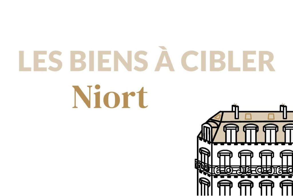 couverture-article-niort-titre-biens-à-cibler