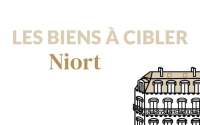 Quel type de bien pour investir à Niort ?