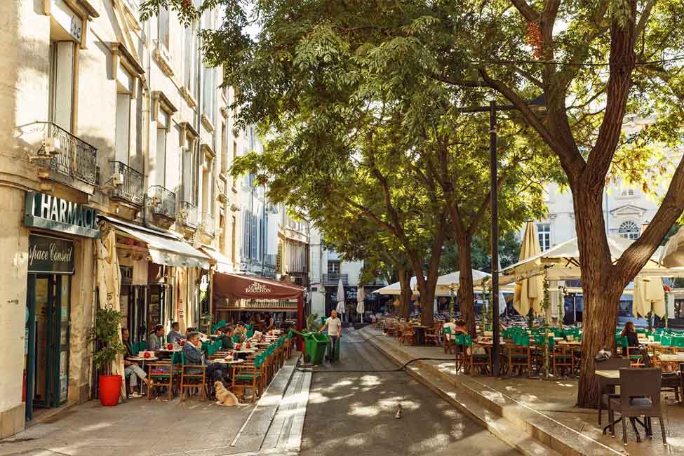 montpellier photo quartier hopitaux facultes