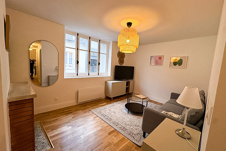 investissement-locatif-orleans-adele-salon