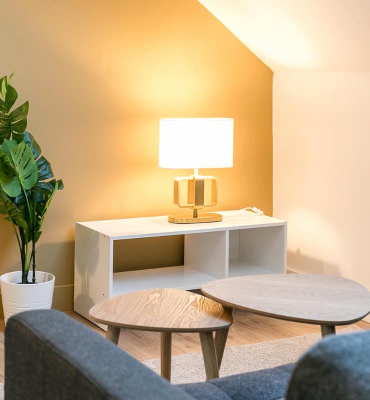 investissement-locatif-nantes-thomas-domitille-salon-couverture