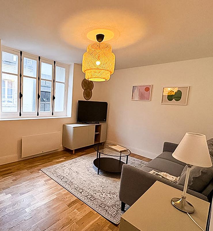 orleans investissement locatif photo salon