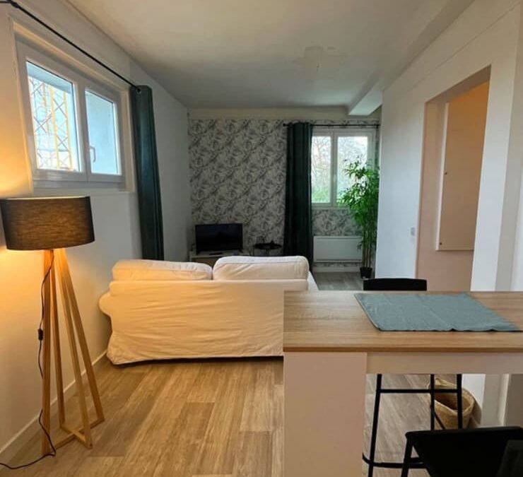 L&rsquo;investissement locatif d&rsquo;Adèle à Orléans